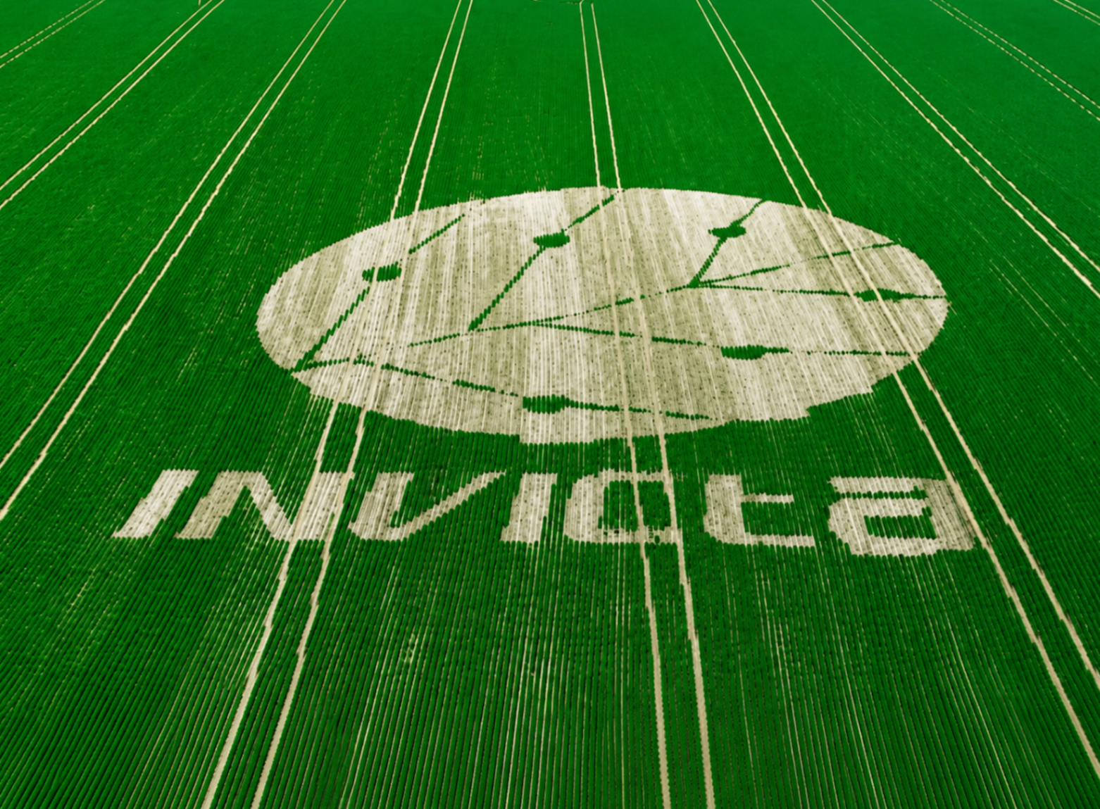 Marca Invicta desenhada em uma lavoura verde vista de cima